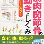 運動・からだ図解 筋肉・関節・骨の動きとしくみ